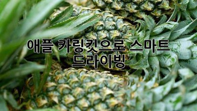 애플 카링킷으로 스마트 드라이빙 🚗✨