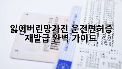 잃어버린/망가진 운전면허증? 재발급 완벽 가이드!